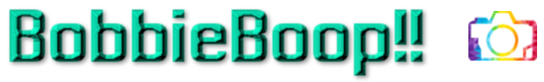 bobbiebooth-logo